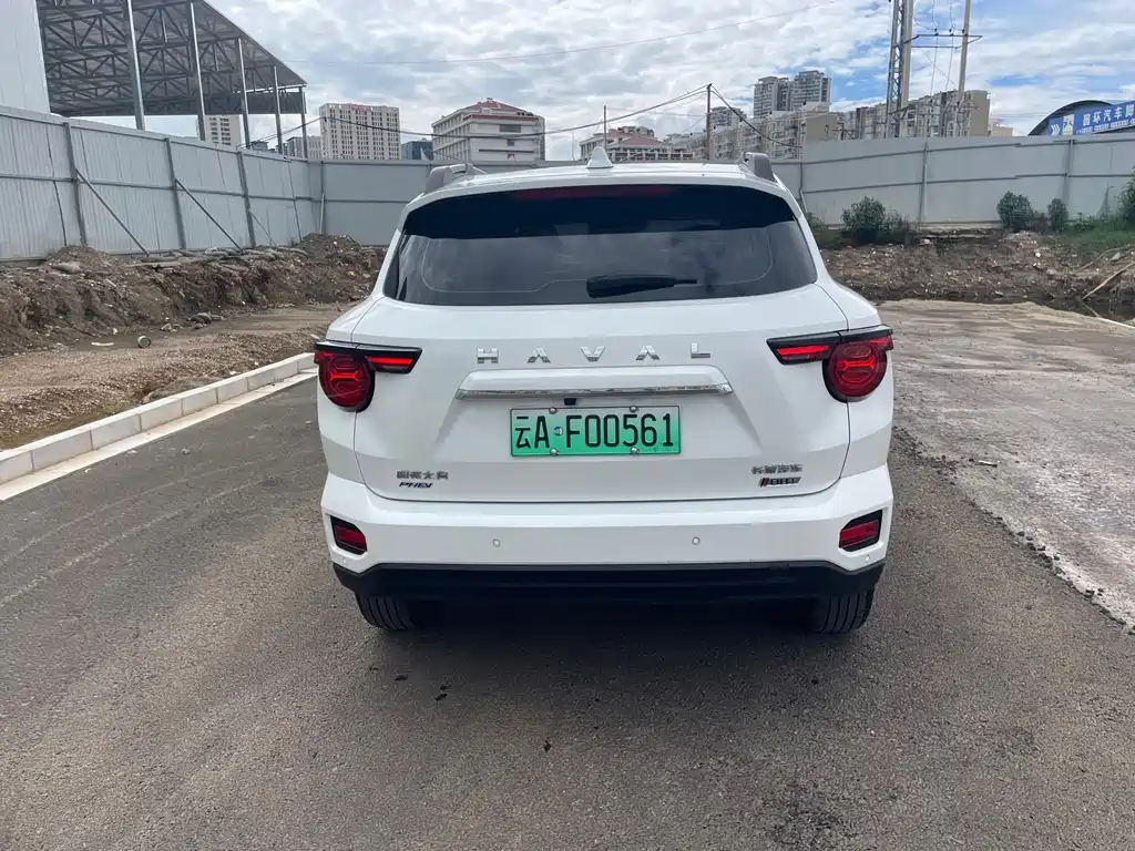 Haval Big Dog PLUS New Energy — фото 6