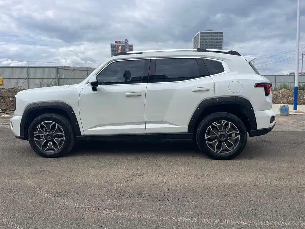 Haval Big Dog PLUS New Energy — фото 9