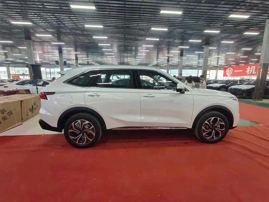 Haval Xiaolong MAX — фото 6