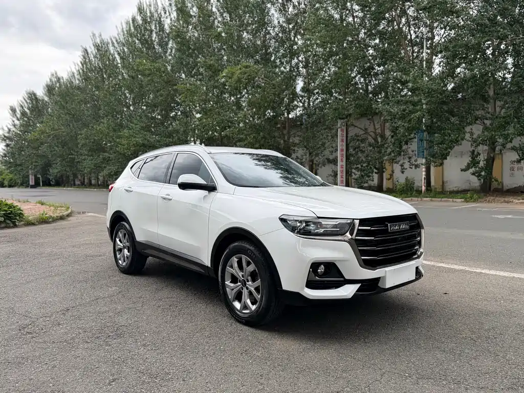 Haval H6 — фото 3