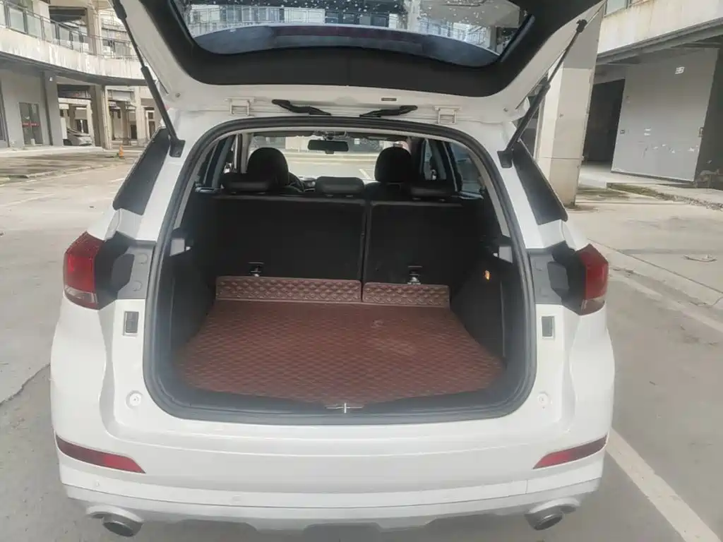 Haval H6 Coupe — фото 19