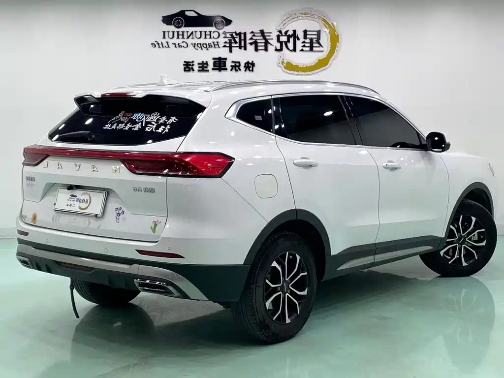 Haval H6 — фото 9