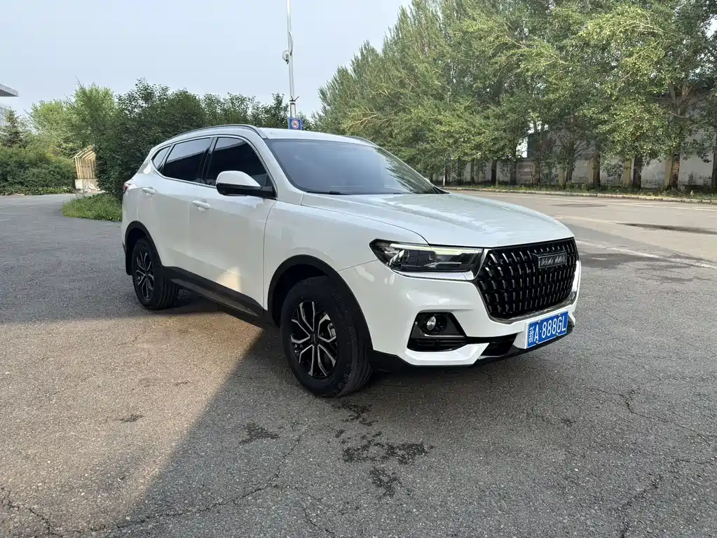 Haval H6 — фото 3