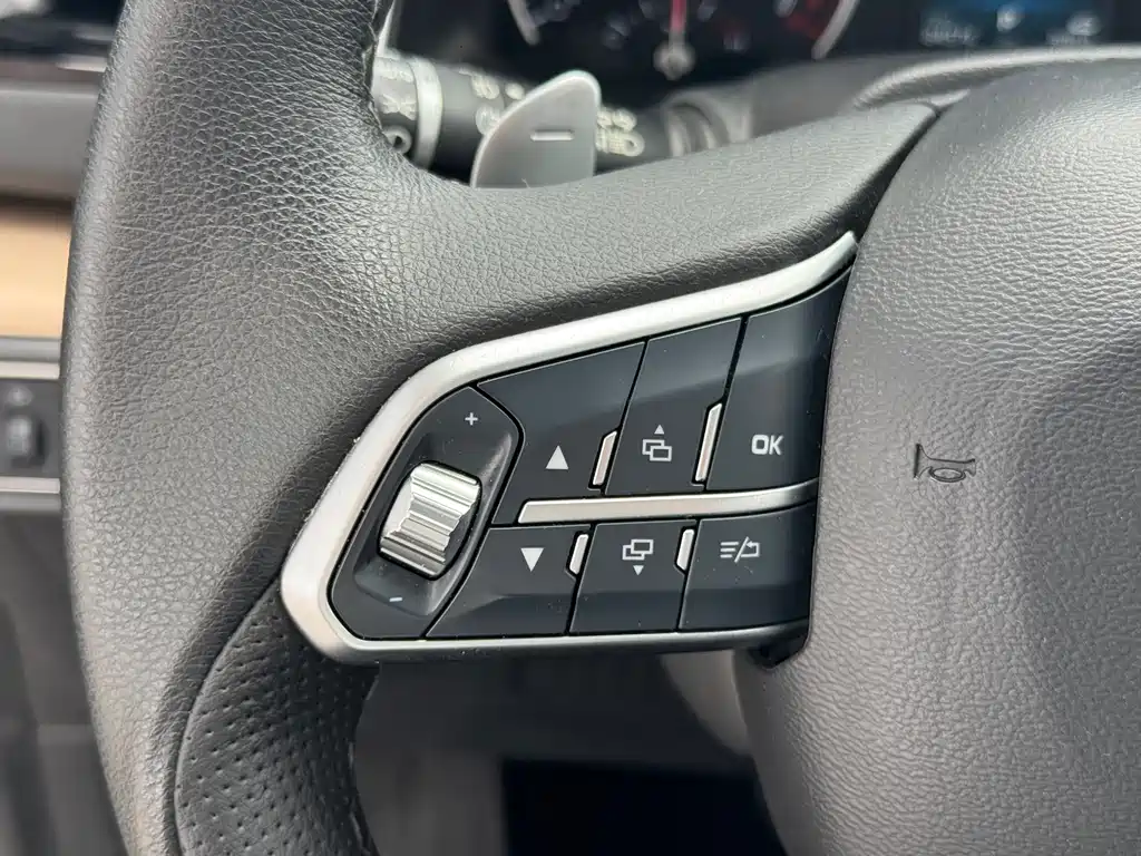 Haval H6 — фото 14