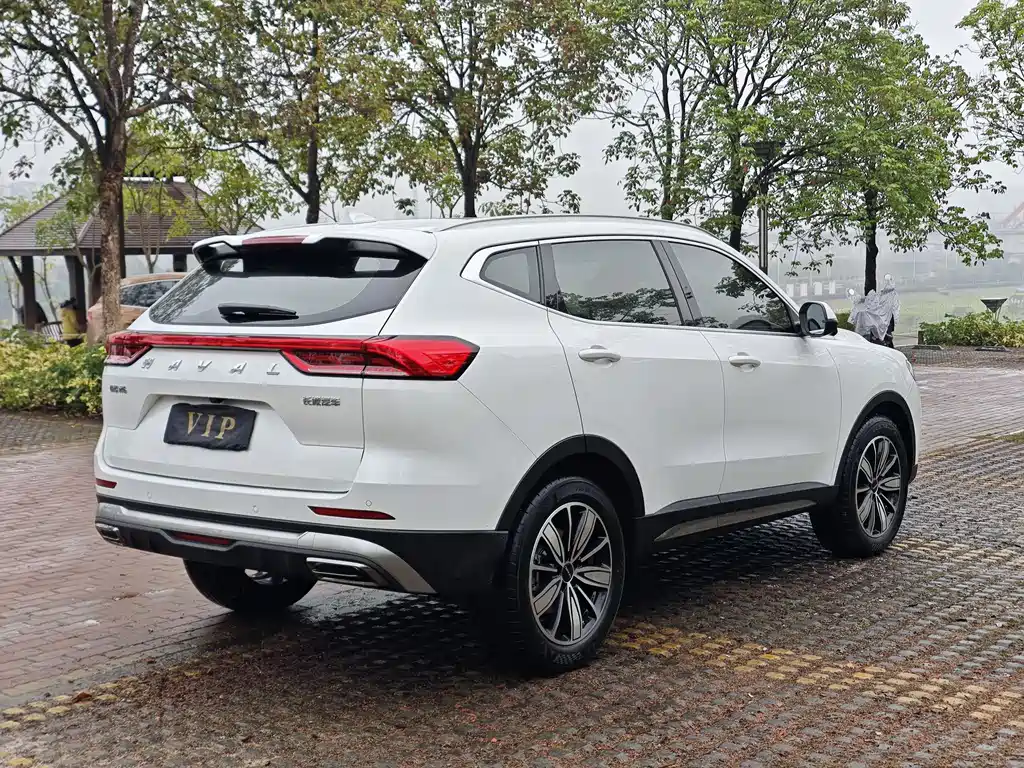 Haval H6 — фото 8