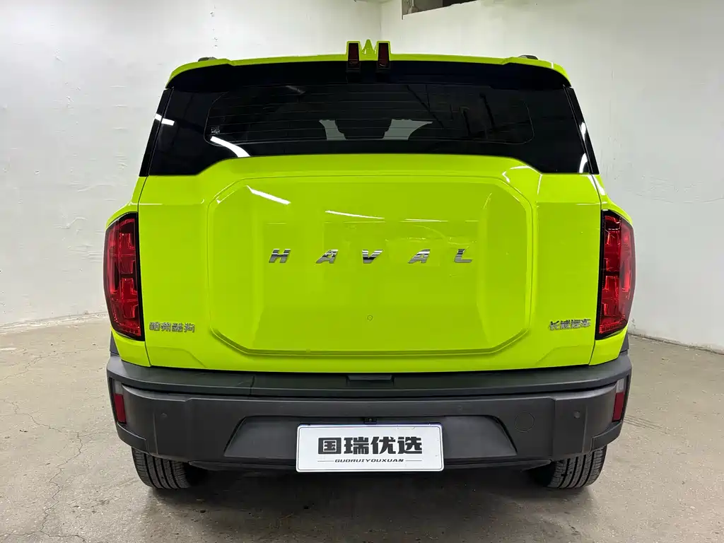 Haval Cool Dog — фото 6