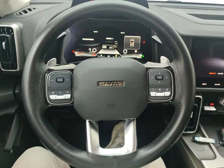 Haval Big Dog — фото 15