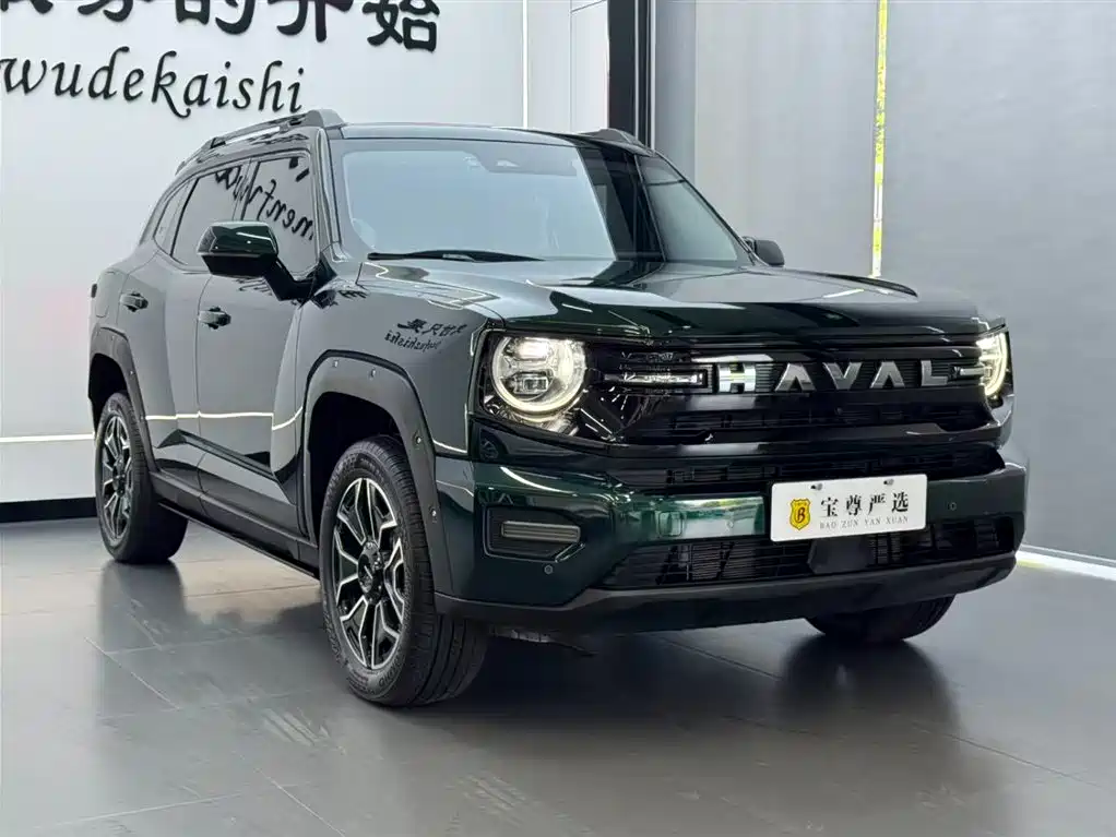 Haval Big Dog PLUS New Energy — фото 3