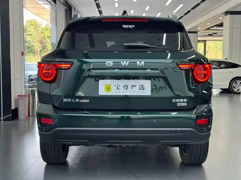 Haval Big Dog PLUS New Energy — фото 4