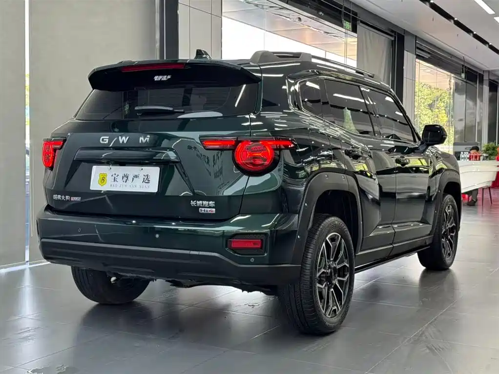 Haval Big Dog PLUS New Energy — фото 5