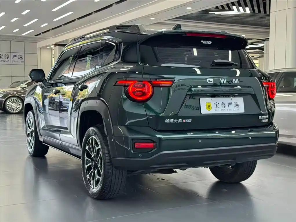Haval Big Dog PLUS New Energy — фото 6