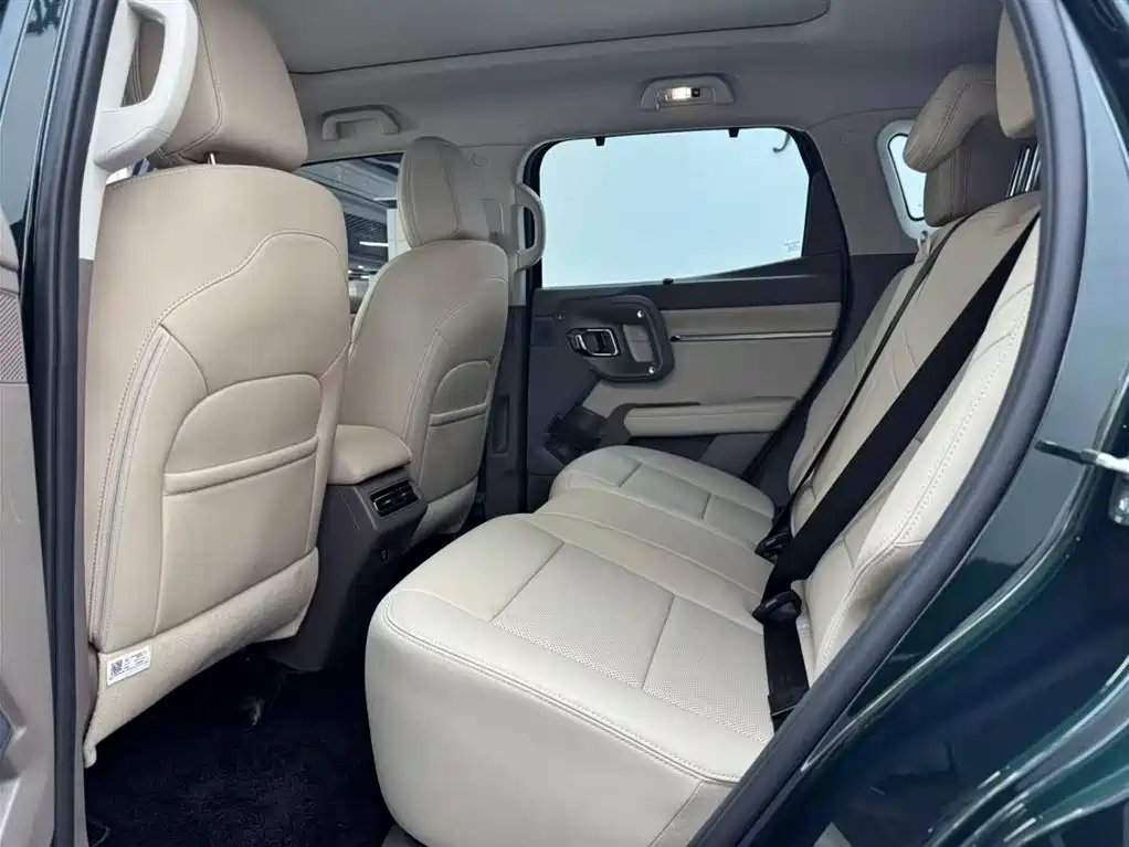 Haval Big Dog PLUS New Energy — фото 7