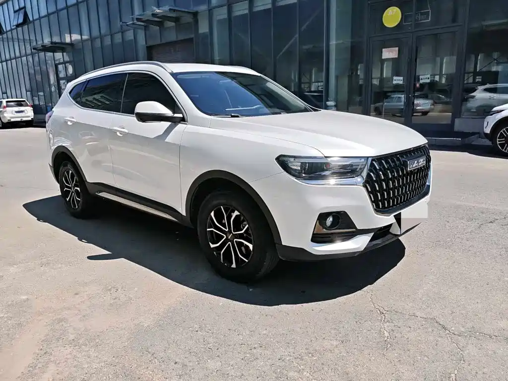 Haval H6 — фото 7
