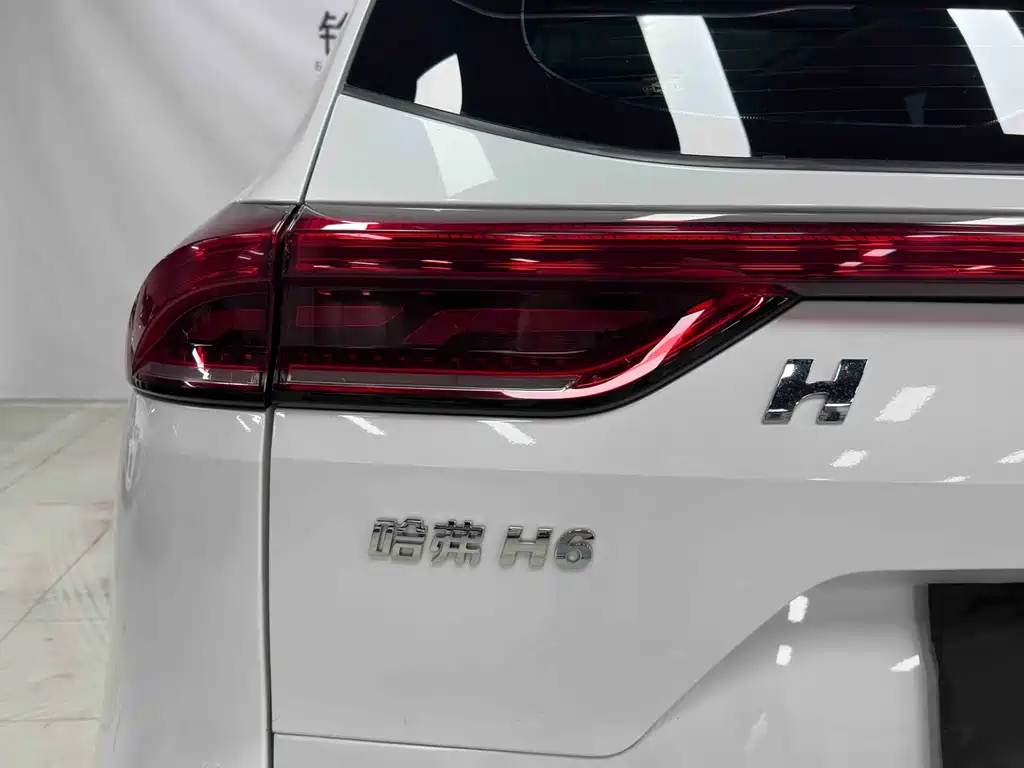 Haval H6 — фото 9