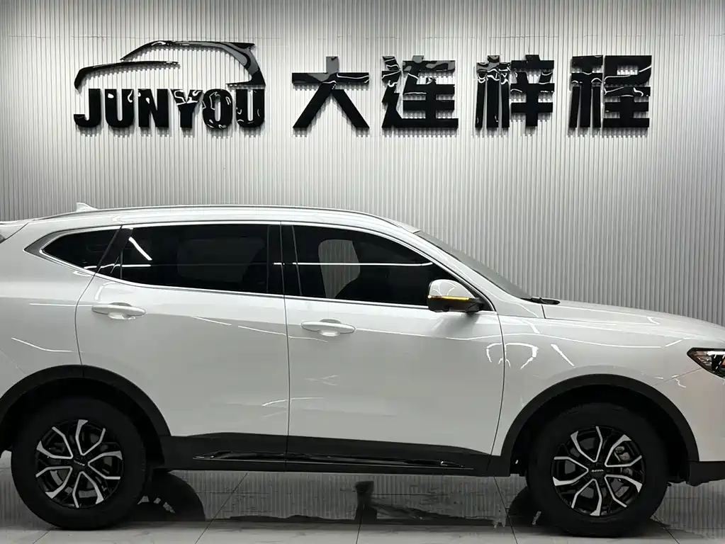 Haval H6 — фото 8