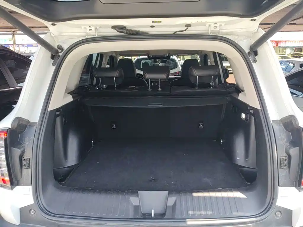 Haval Big Dog — фото 19
