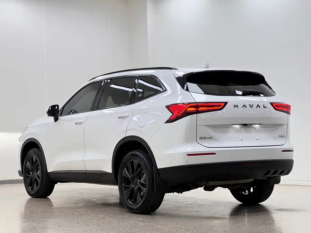 Haval H6 — фото 6