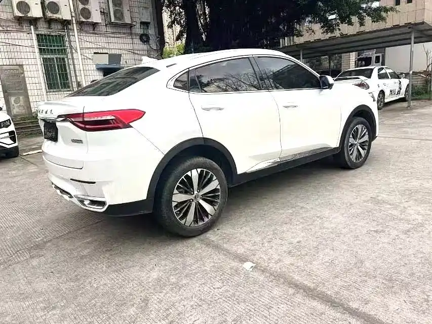 Haval F7x — фото 7