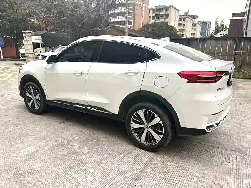Haval F7x — фото 9