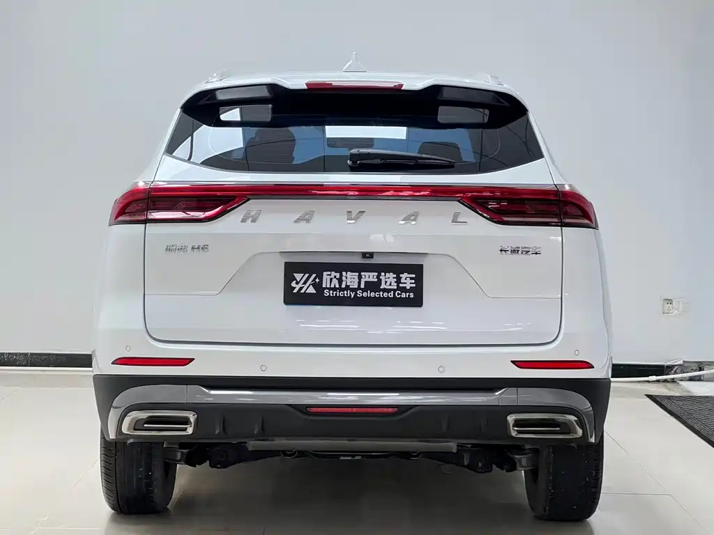 Haval H6 — фото 5