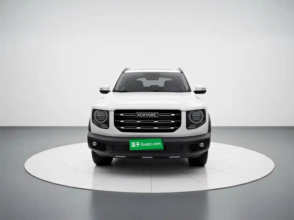 Haval Big Dog — фото 24