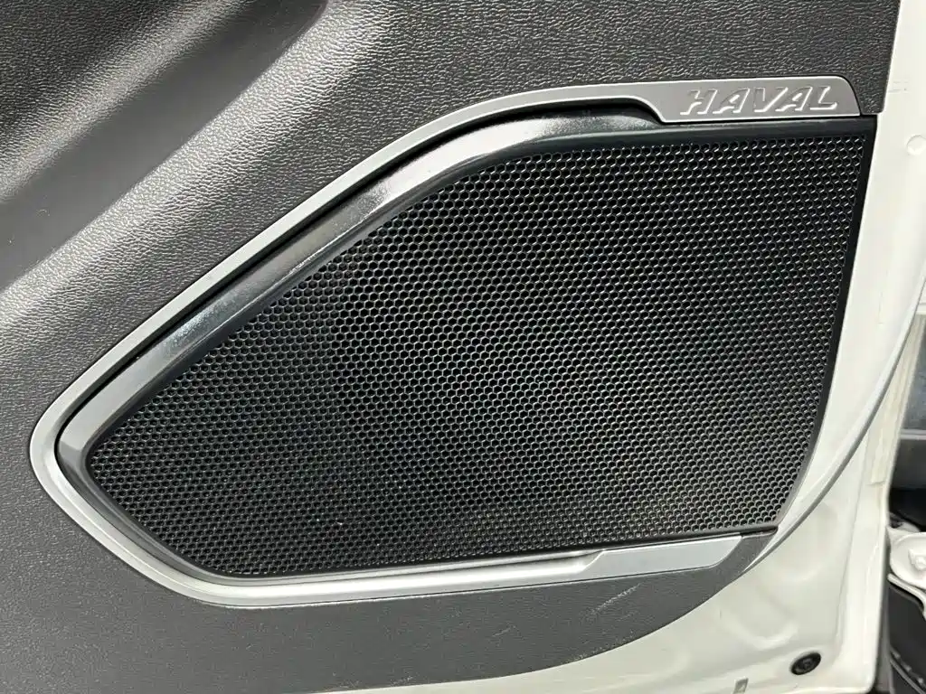 Haval H4 — фото 13