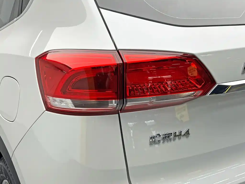 Haval H4 — фото 10