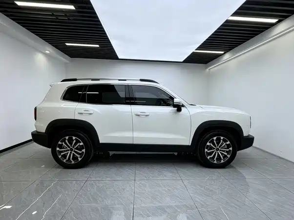 Haval Big Dog — фото 11
