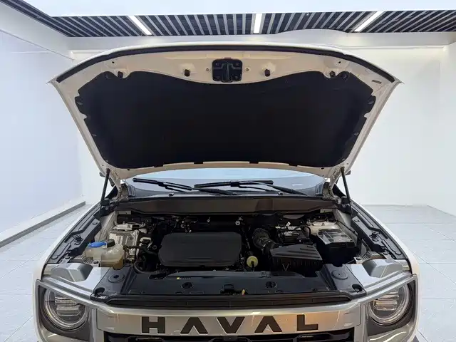Haval Big Dog — фото 15