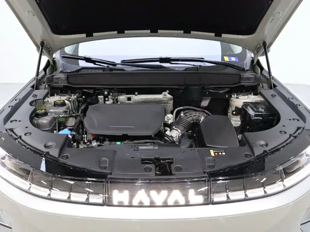 Haval Xiaolong MAX — фото 21