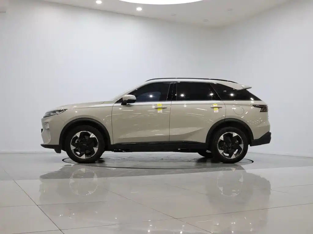 Haval Xiaolong MAX — фото 8