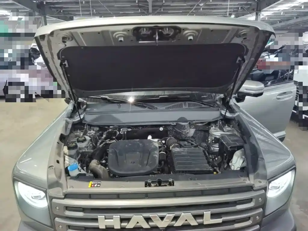 Haval Menglong New Energy — фото 20