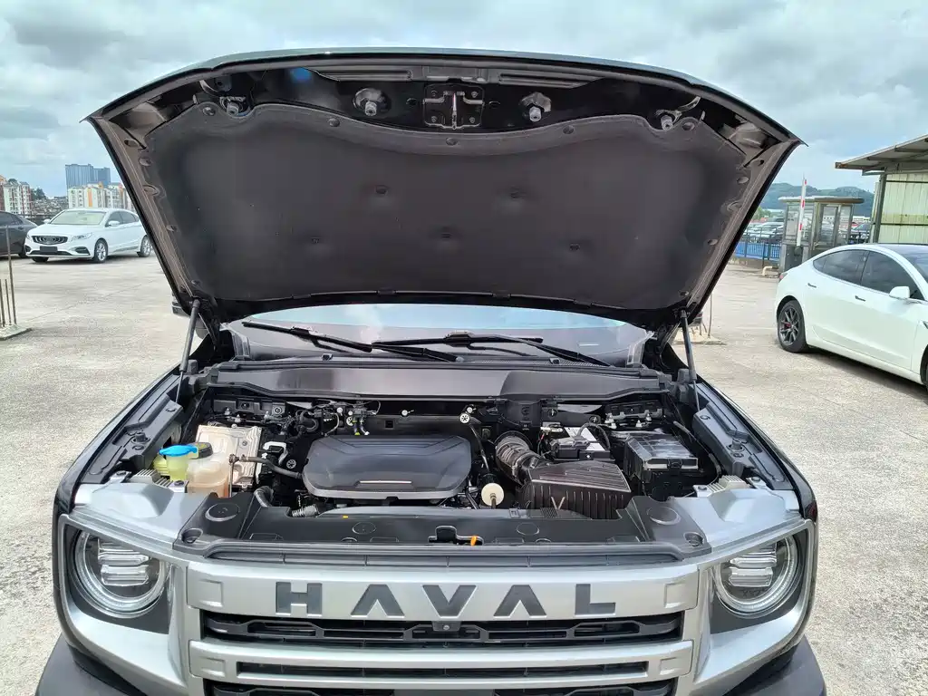 Haval Big Dog — фото 27