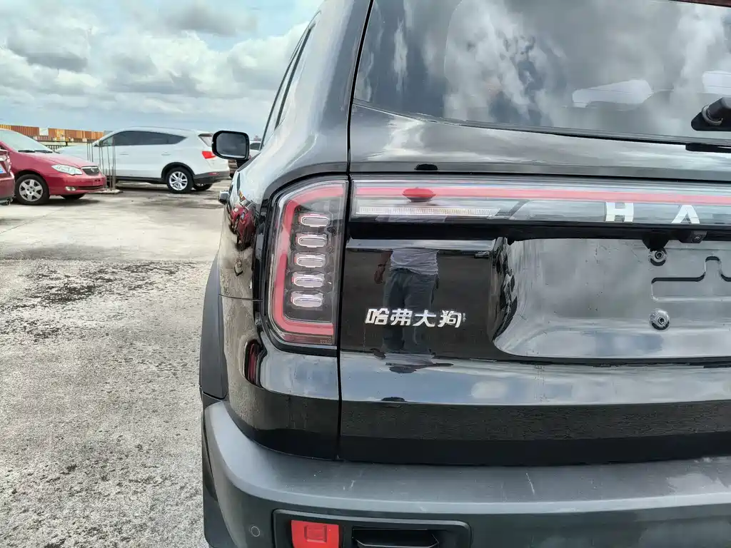 Haval Big Dog — фото 30