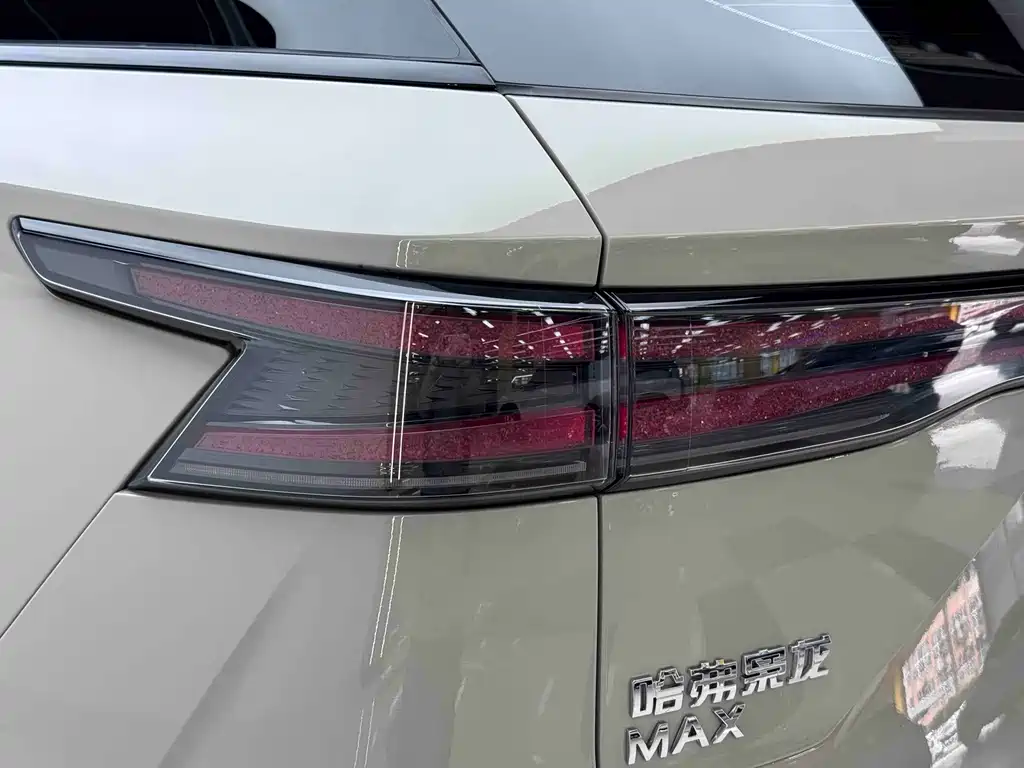 Haval Xiaolong MAX — фото 14