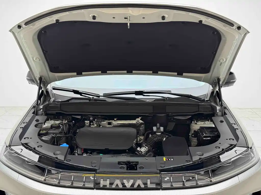 Haval Xiaolong MAX — фото 5