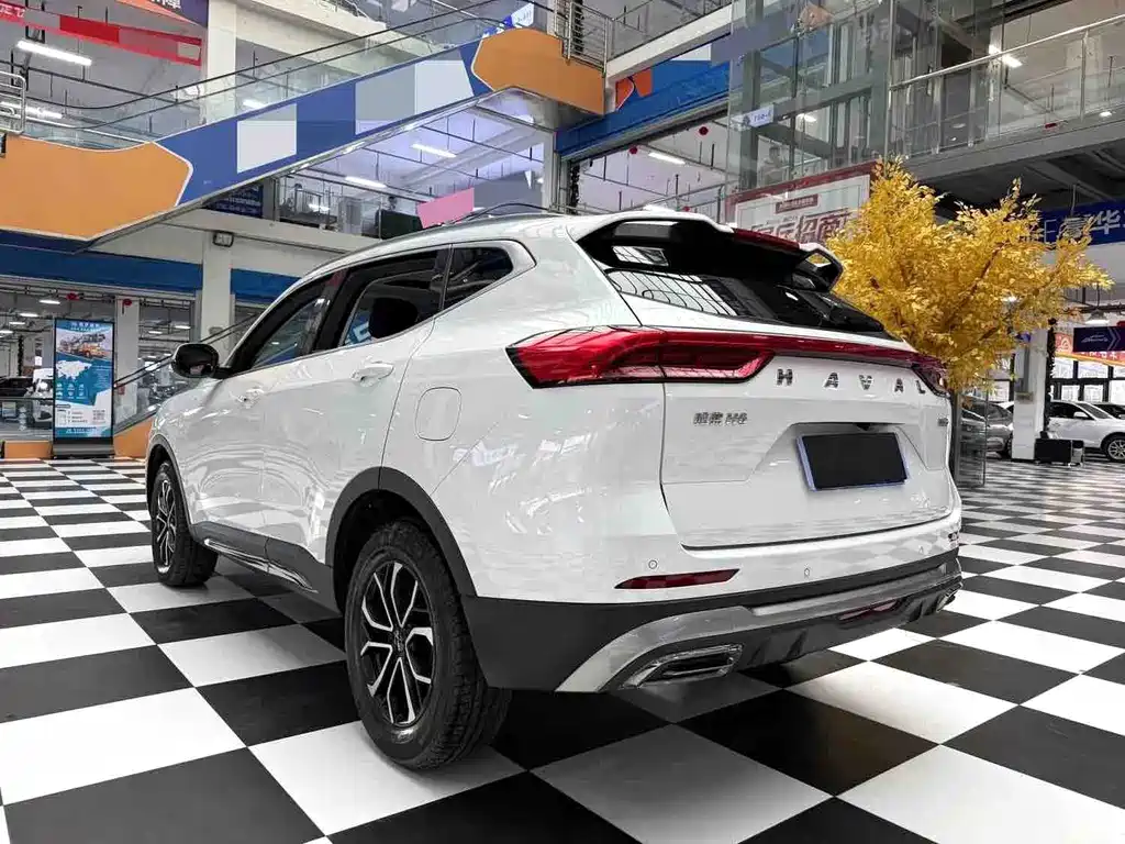 Haval H6 — фото 18