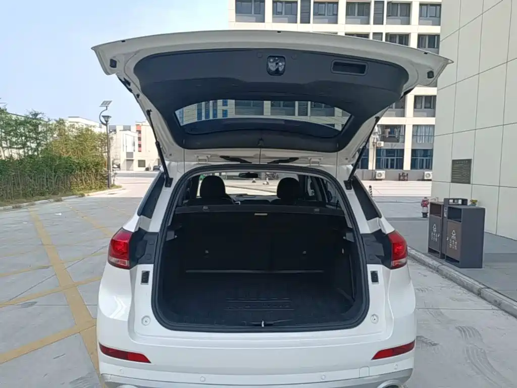 Haval H6 Coupe — фото 19
