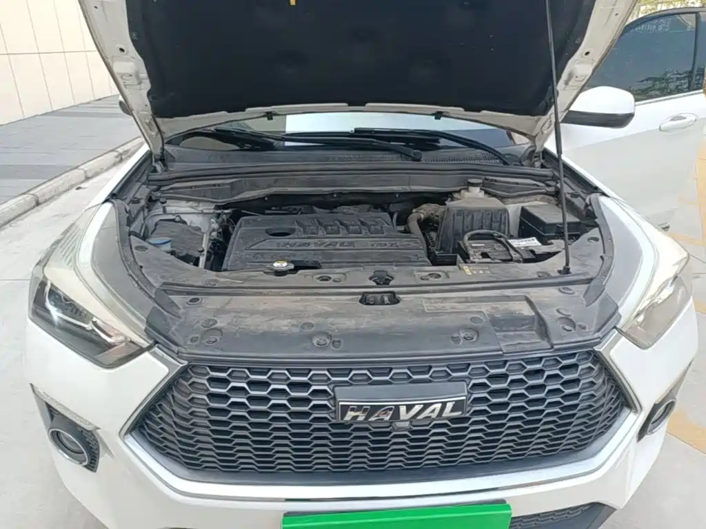 Haval H6 Coupe — фото 20