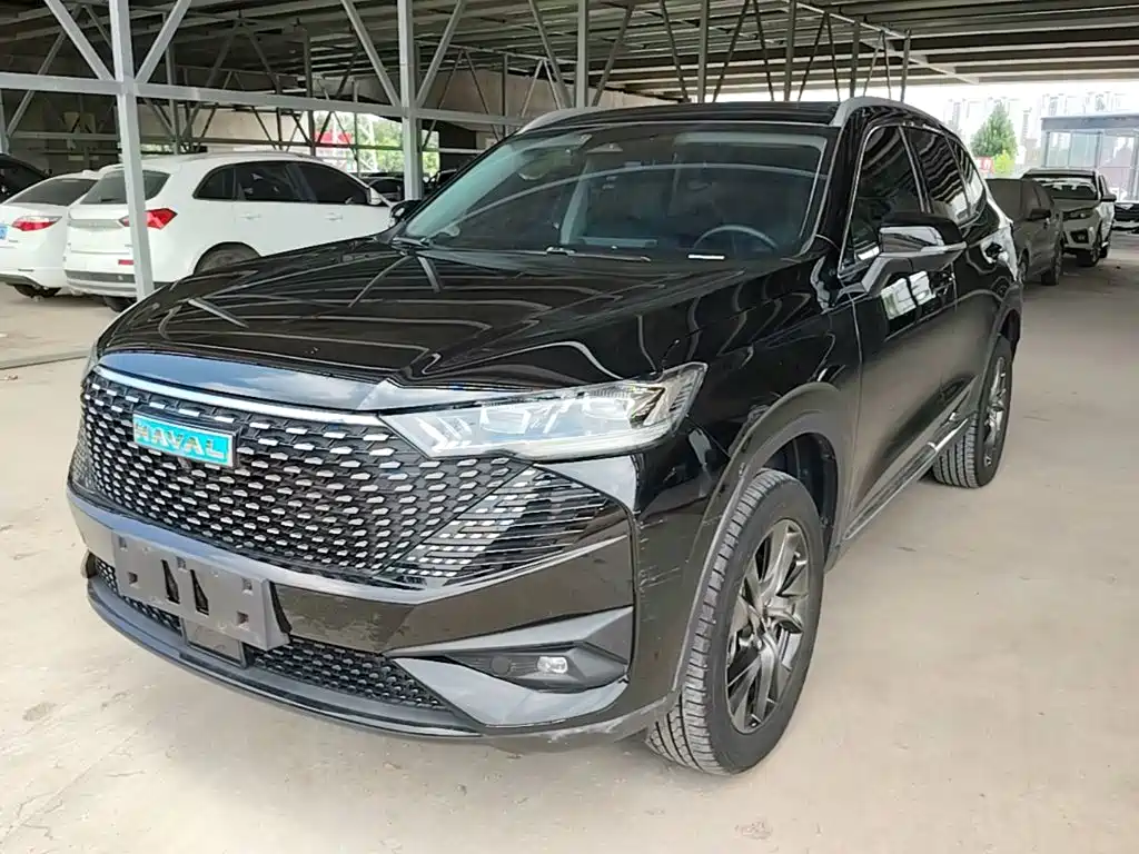 Haval H6 New Energy — фото 2