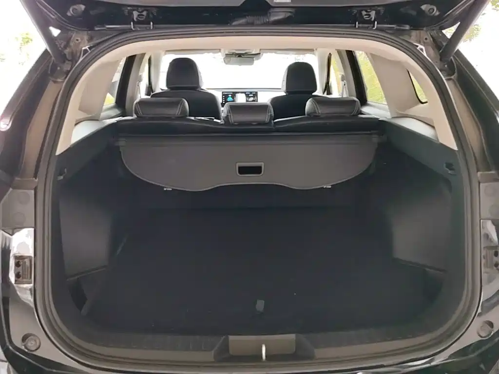 Haval H6 New Energy — фото 19