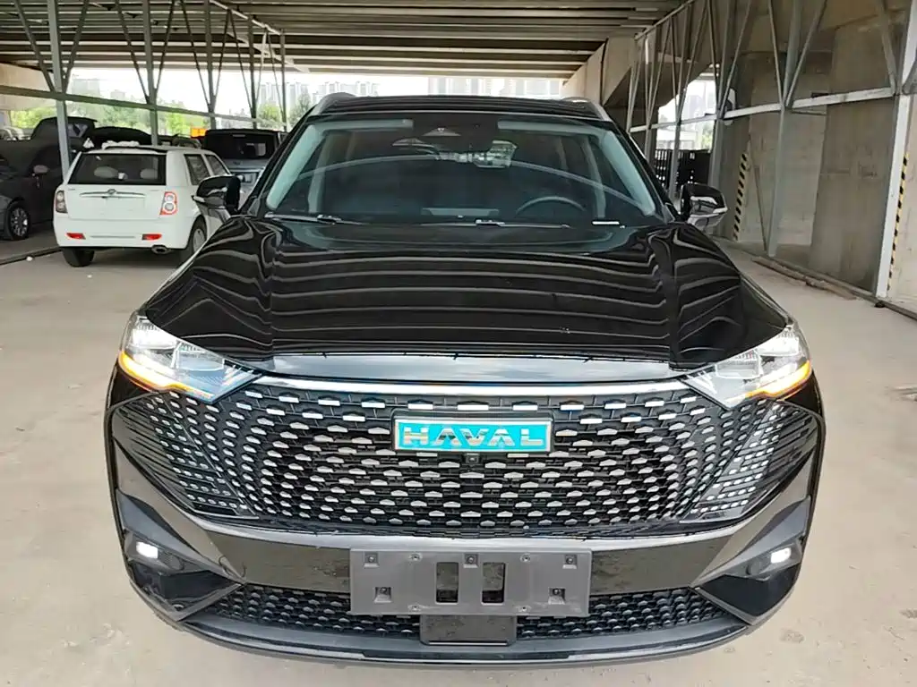Haval H6 New Energy — фото 3