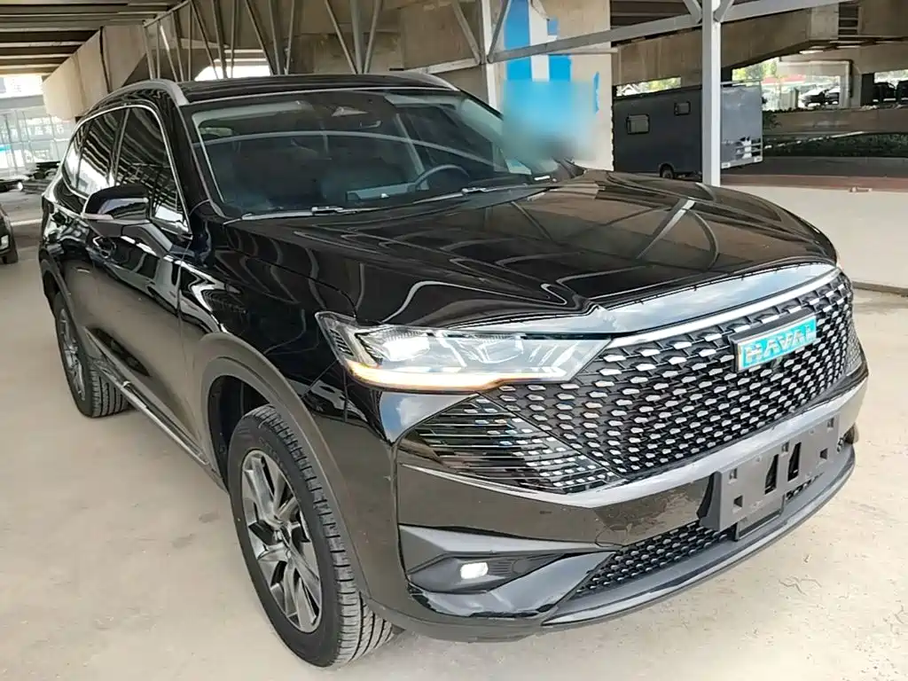 Haval H6 New Energy — фото 4