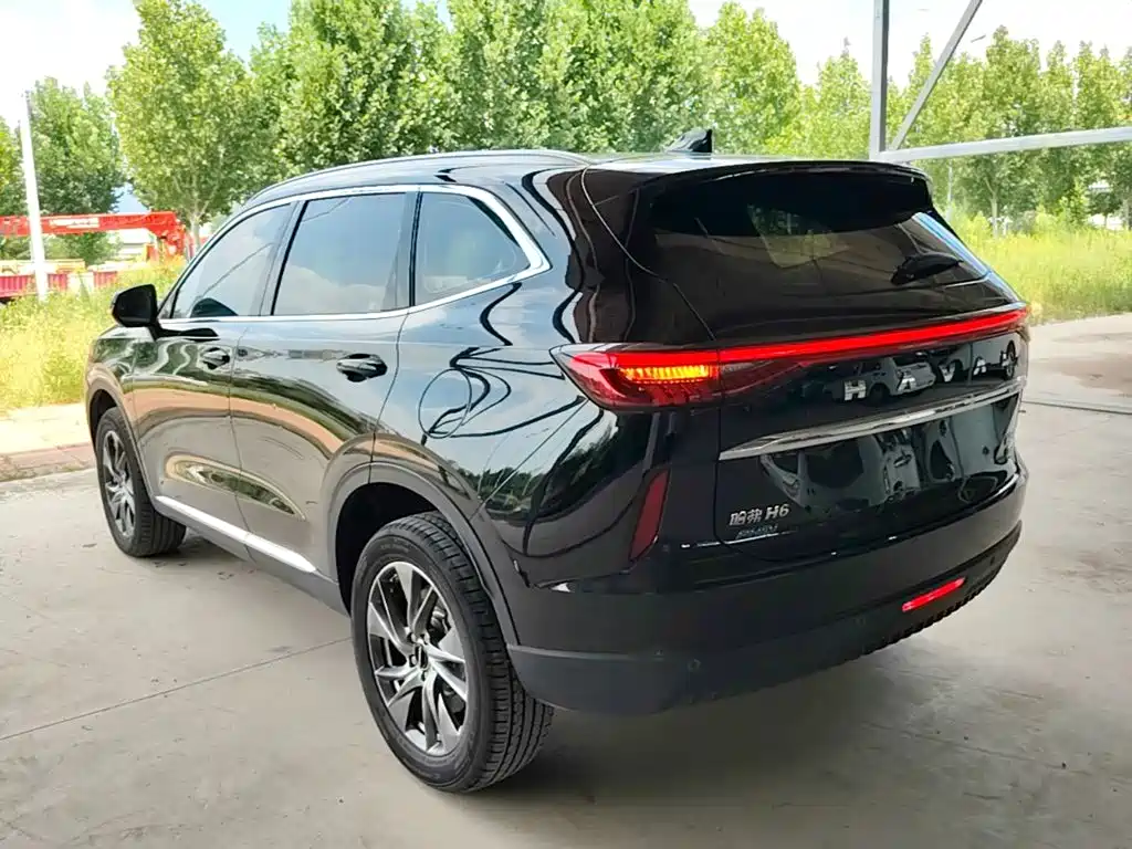 Haval H6 New Energy — фото 5