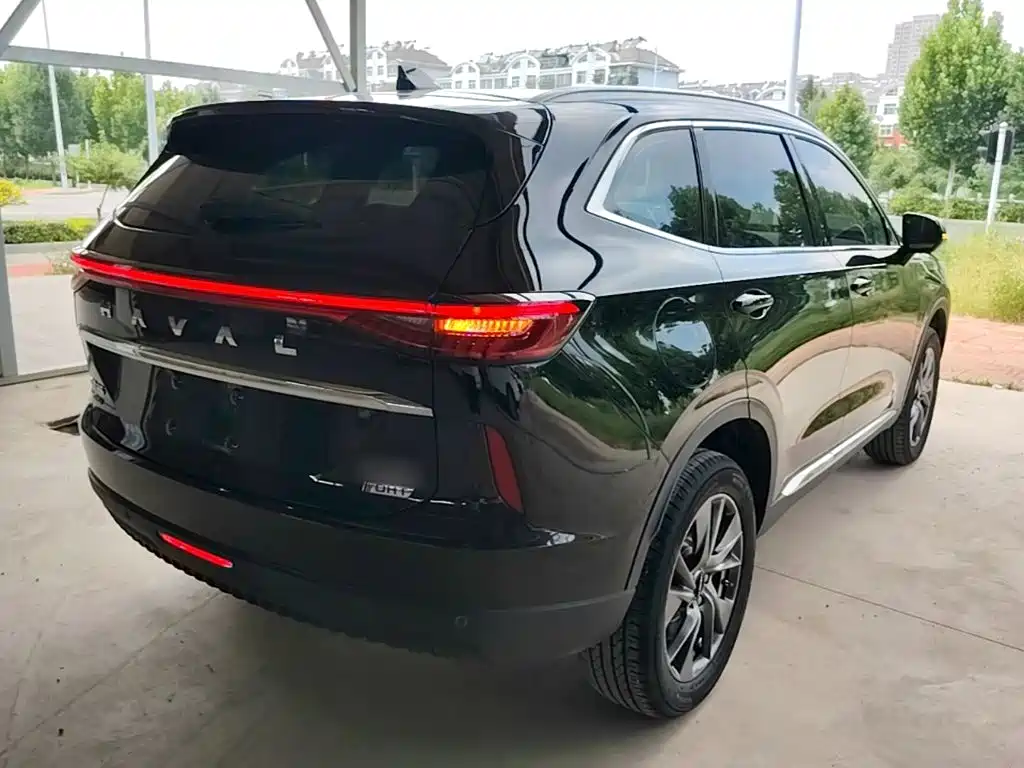 Haval H6 New Energy — фото 7