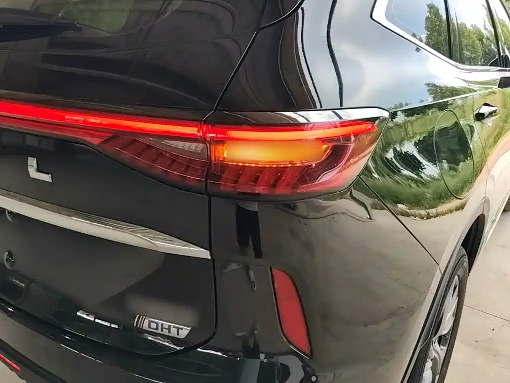 Haval H6 New Energy — фото 8