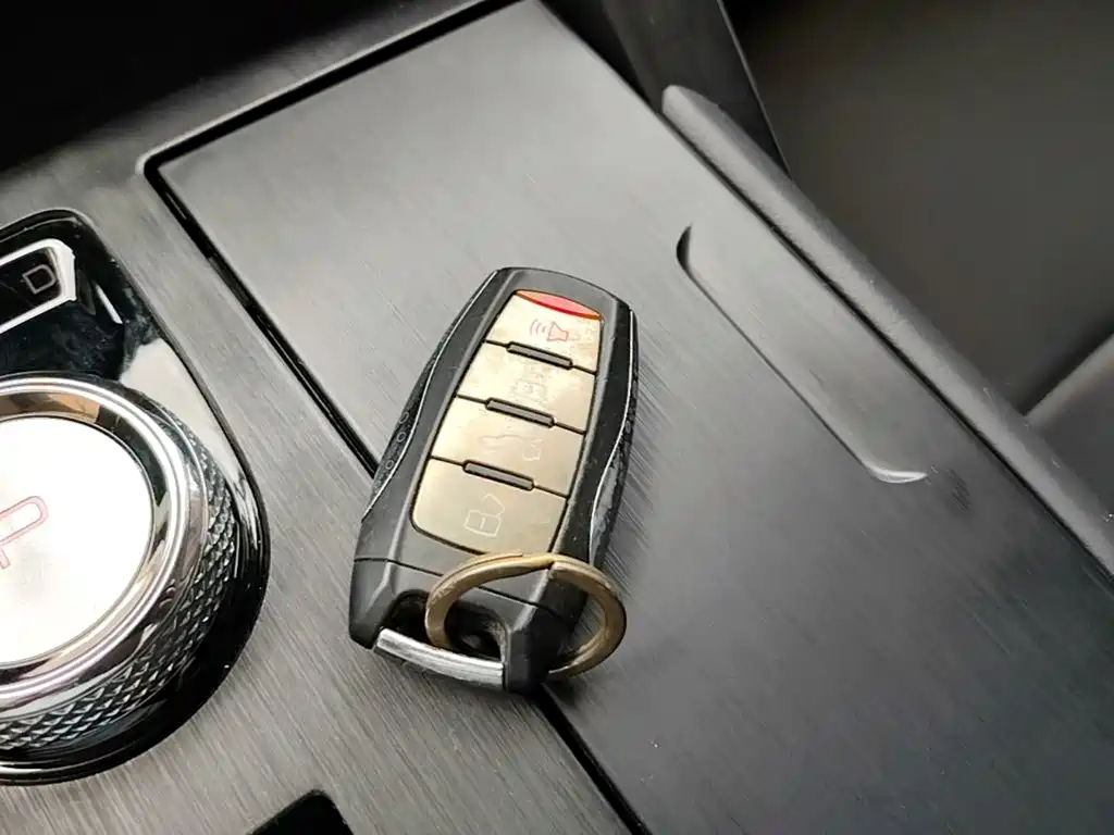 Haval H6 New Energy — фото 9