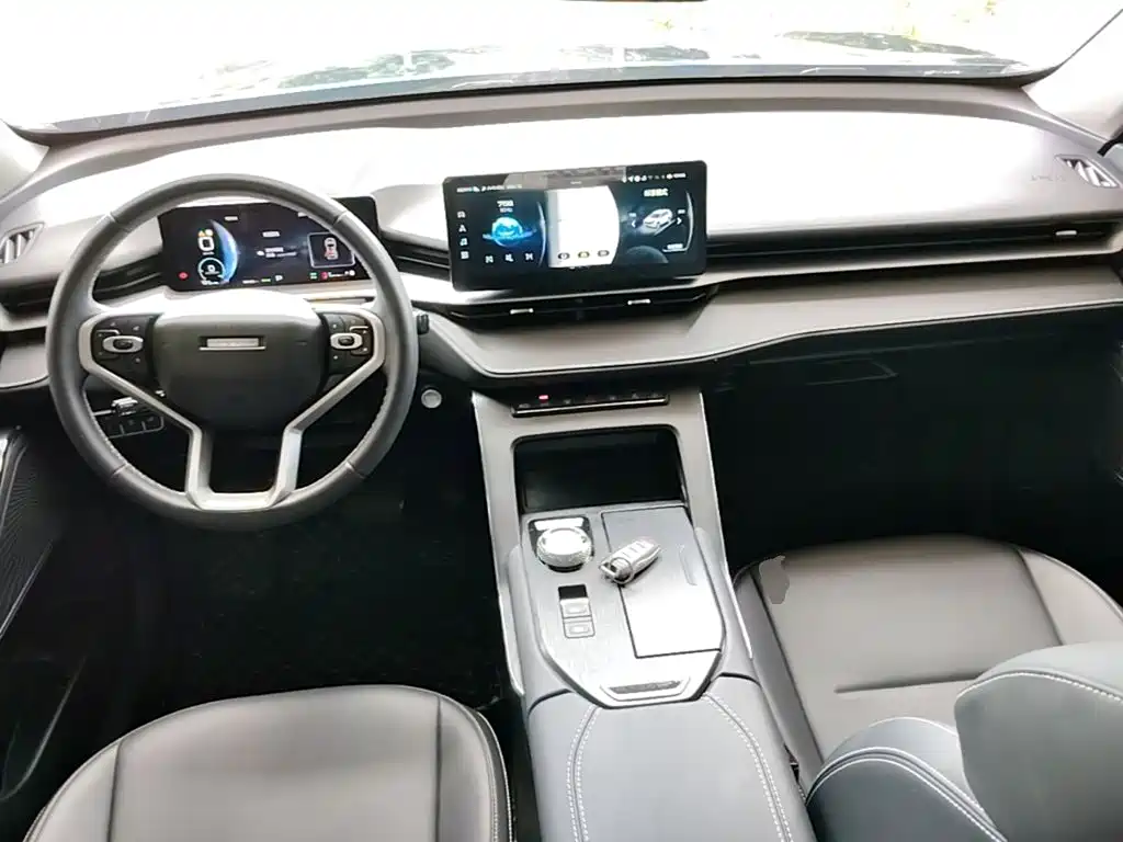 Haval H6 New Energy — фото 10