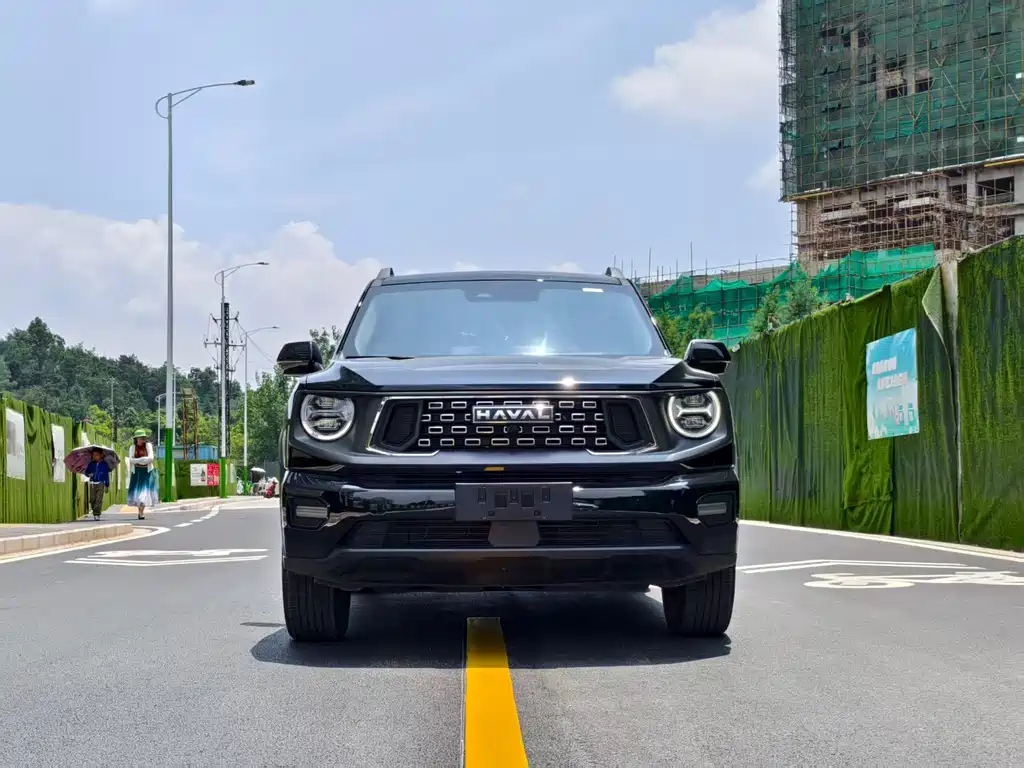 Haval Big Dog PLUS — фото 2