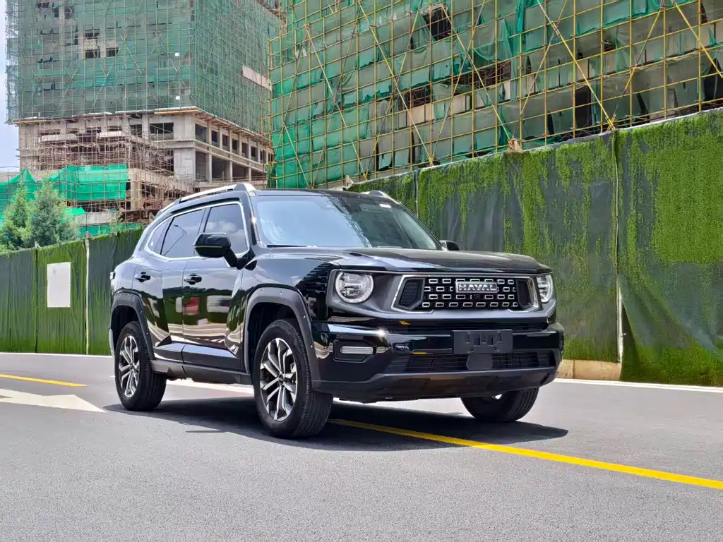 Haval Big Dog PLUS — фото 3